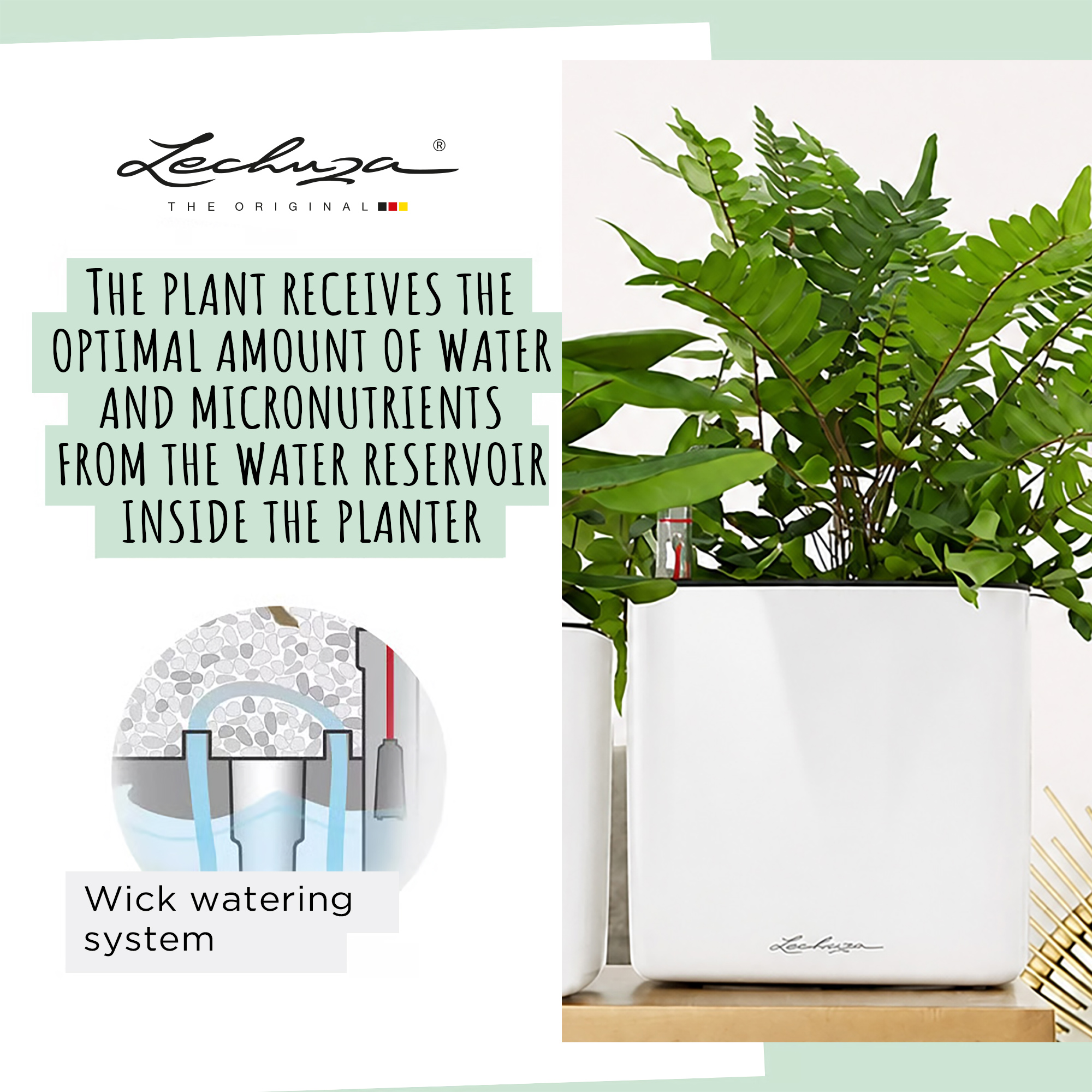 LECHUZA Green Wall Home Kit Glossy Indoor Self-watering Planter