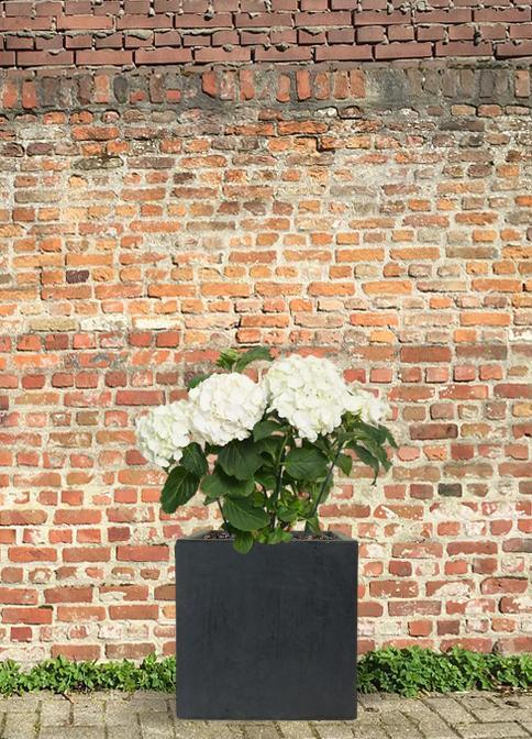 IDEALIST Lite Square Box Contemporary Light Concrete Planter