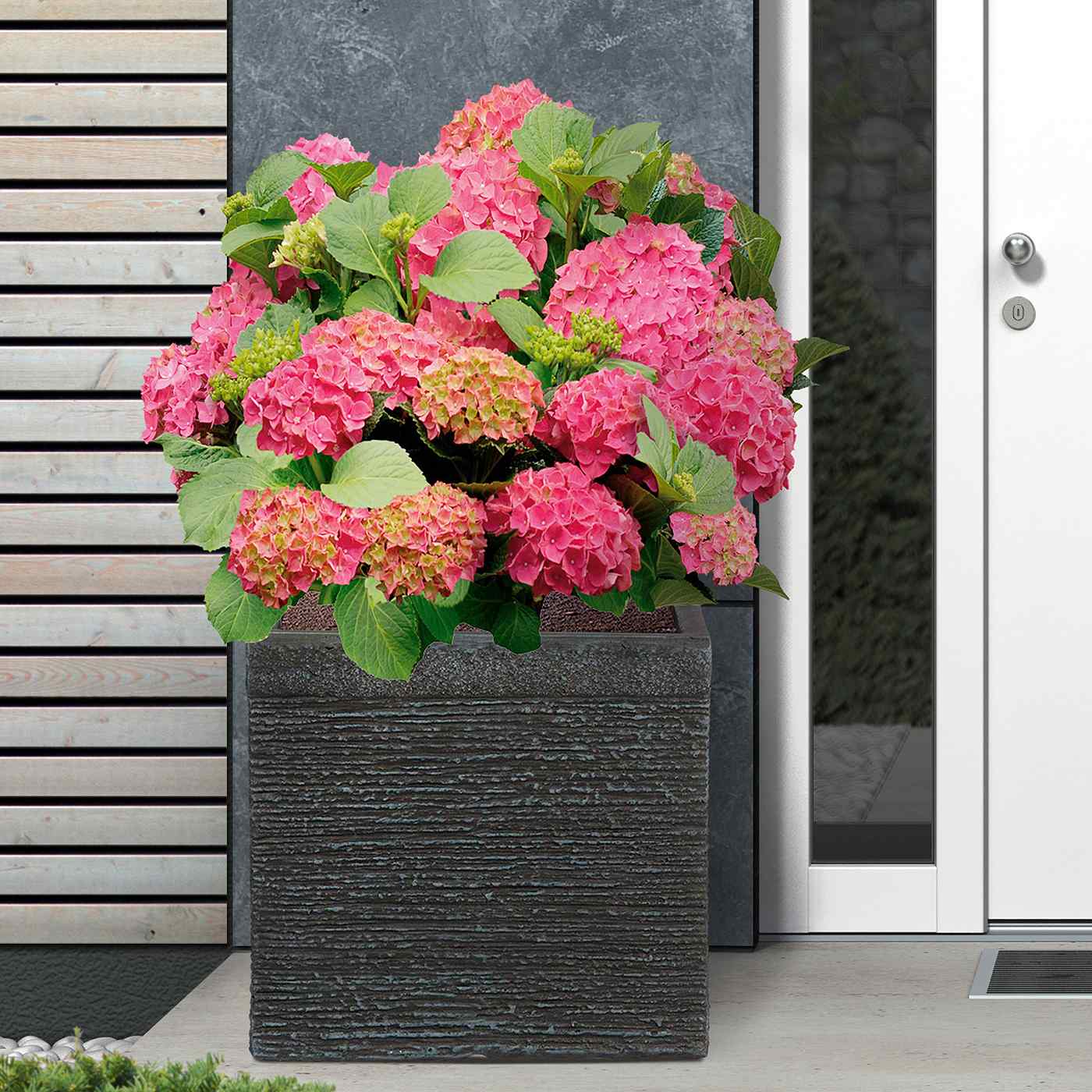 IDEALIST Lite Ribbed Light Concrete Square Planter
