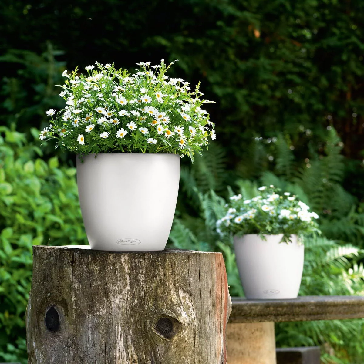 LECHUZA CLASSICO Color Round Poly Resin Self-watering Planter
