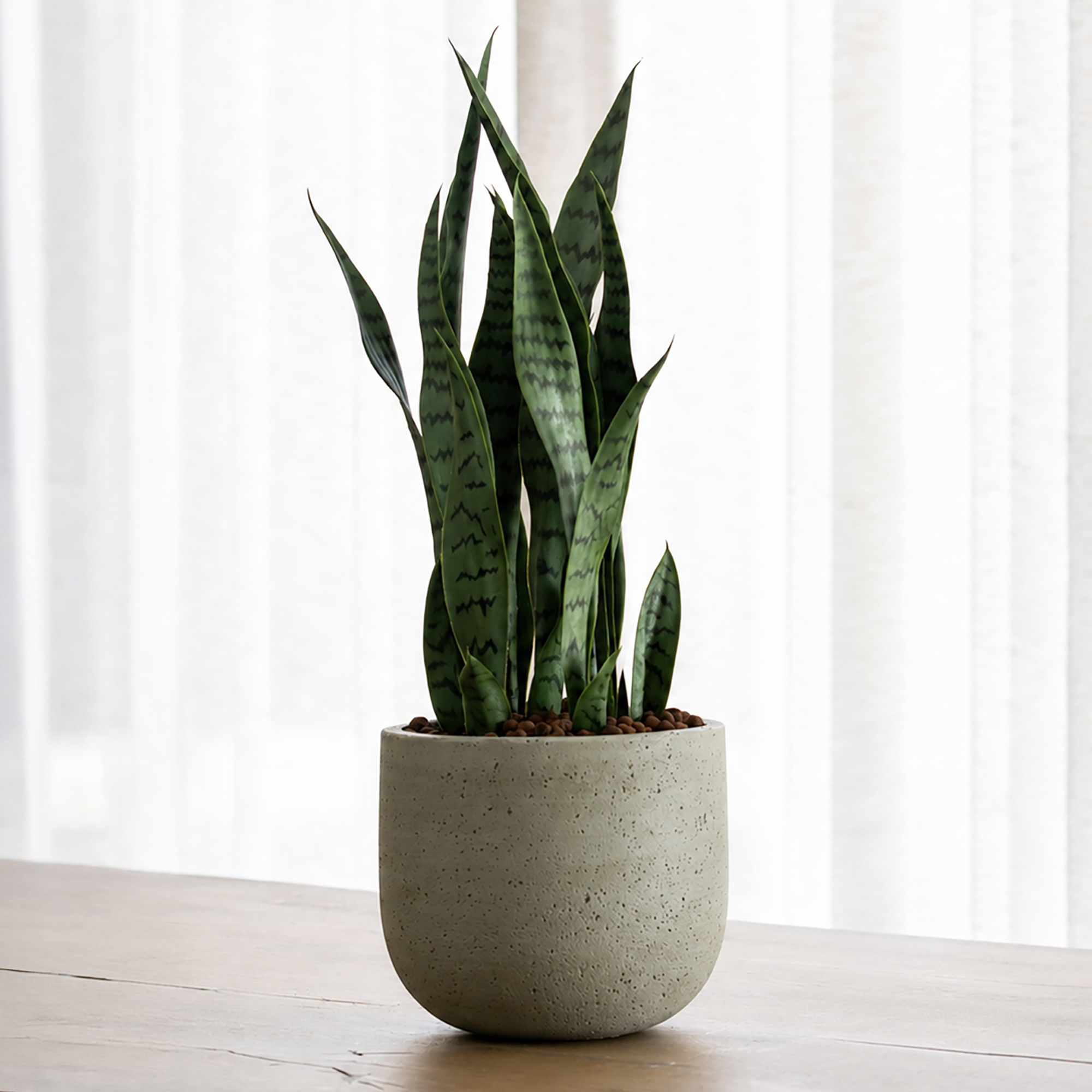Cement & Stone Round Planter | Indoor and Outdoor Plant Pot