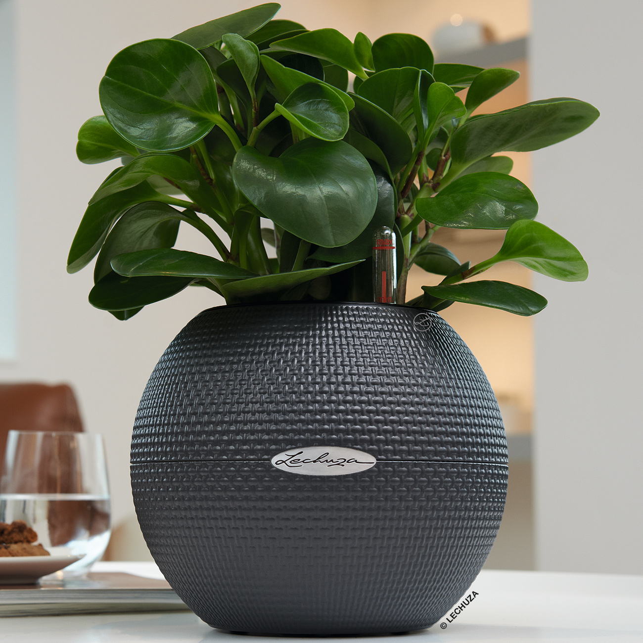 LECHUZA PURO Color Round Poly Resin Self-watering Planter