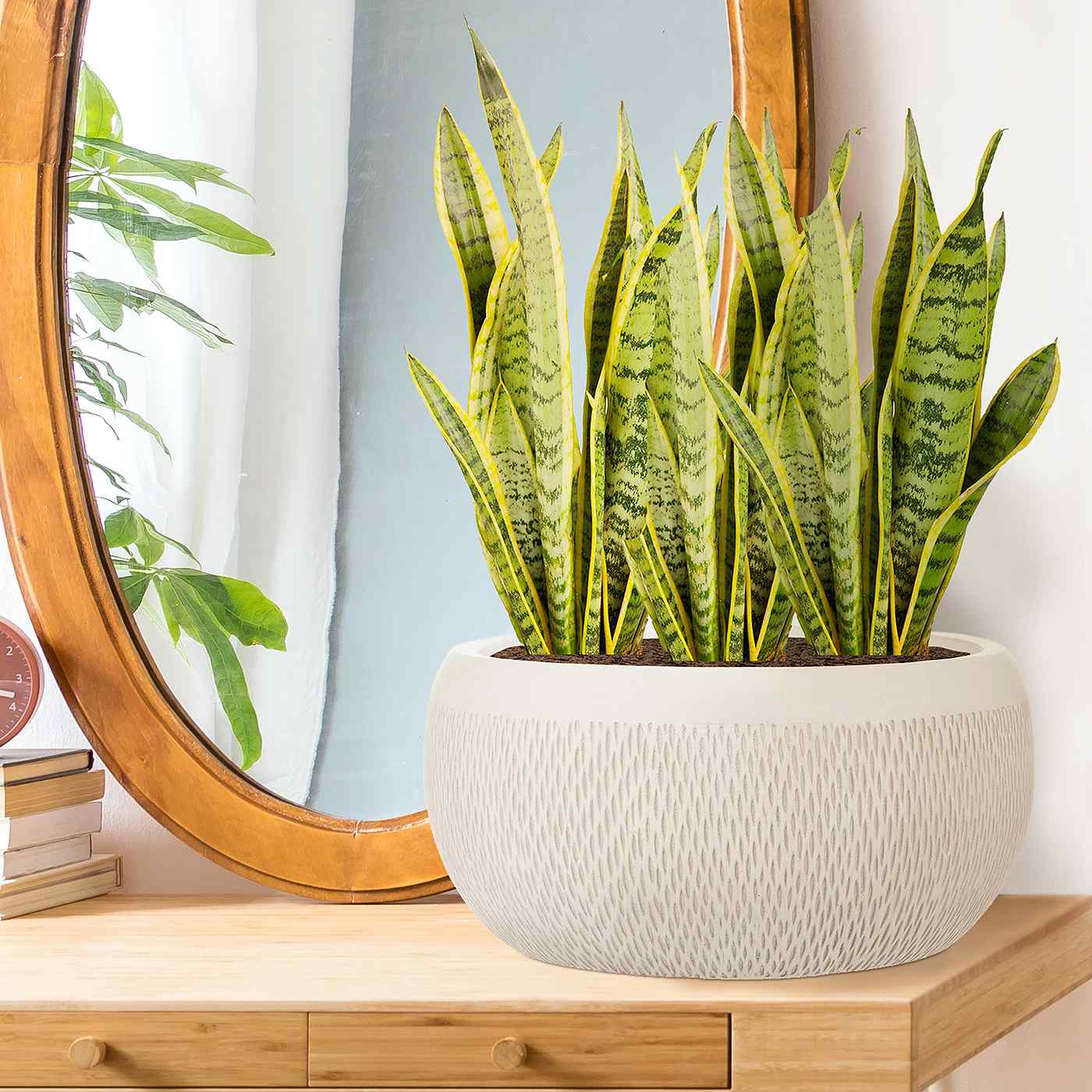IDEALIST Lite Mesh Style Bowl Planter Outdoor Plant Pot