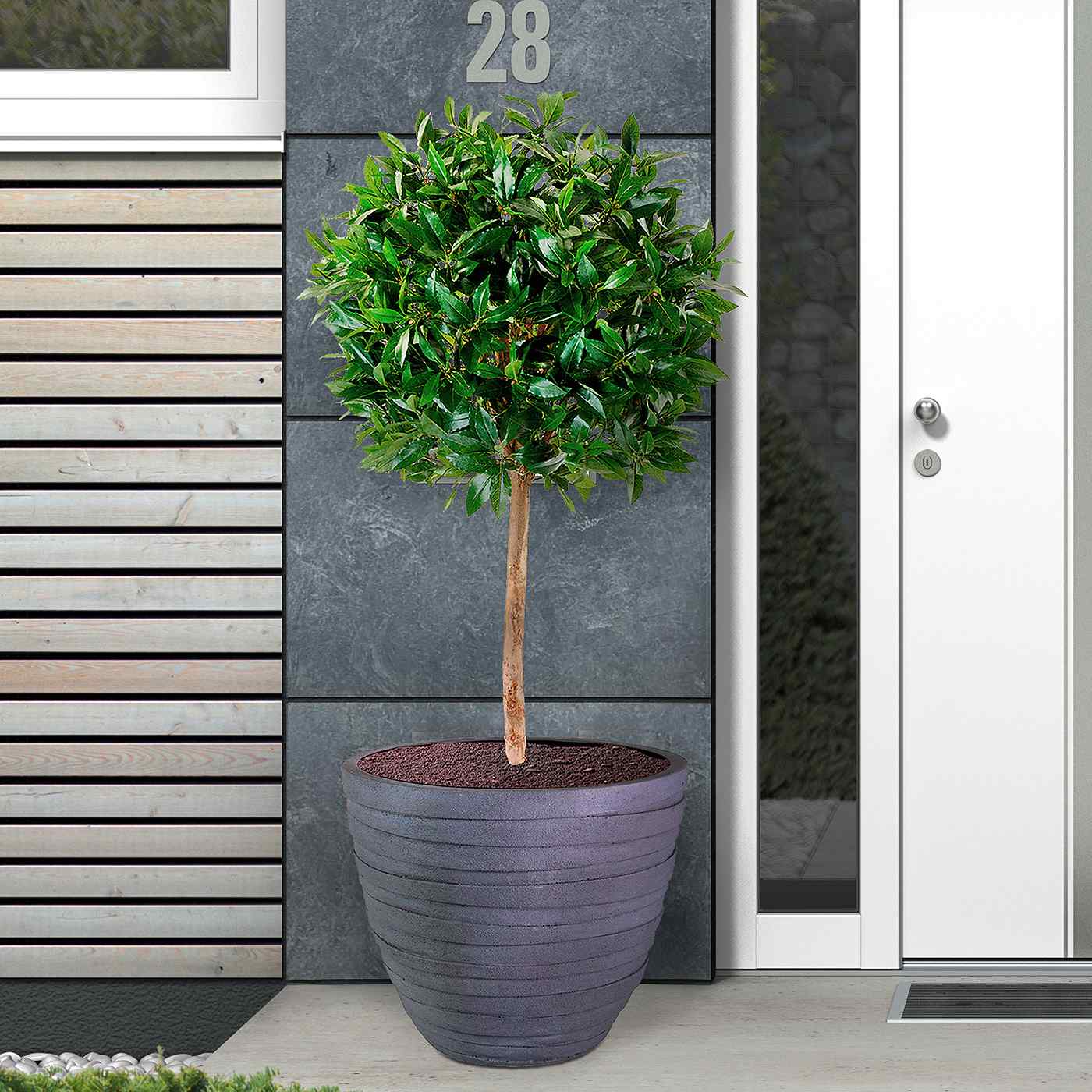 IDEALIST Lite Row Light Concrete Egg Planter