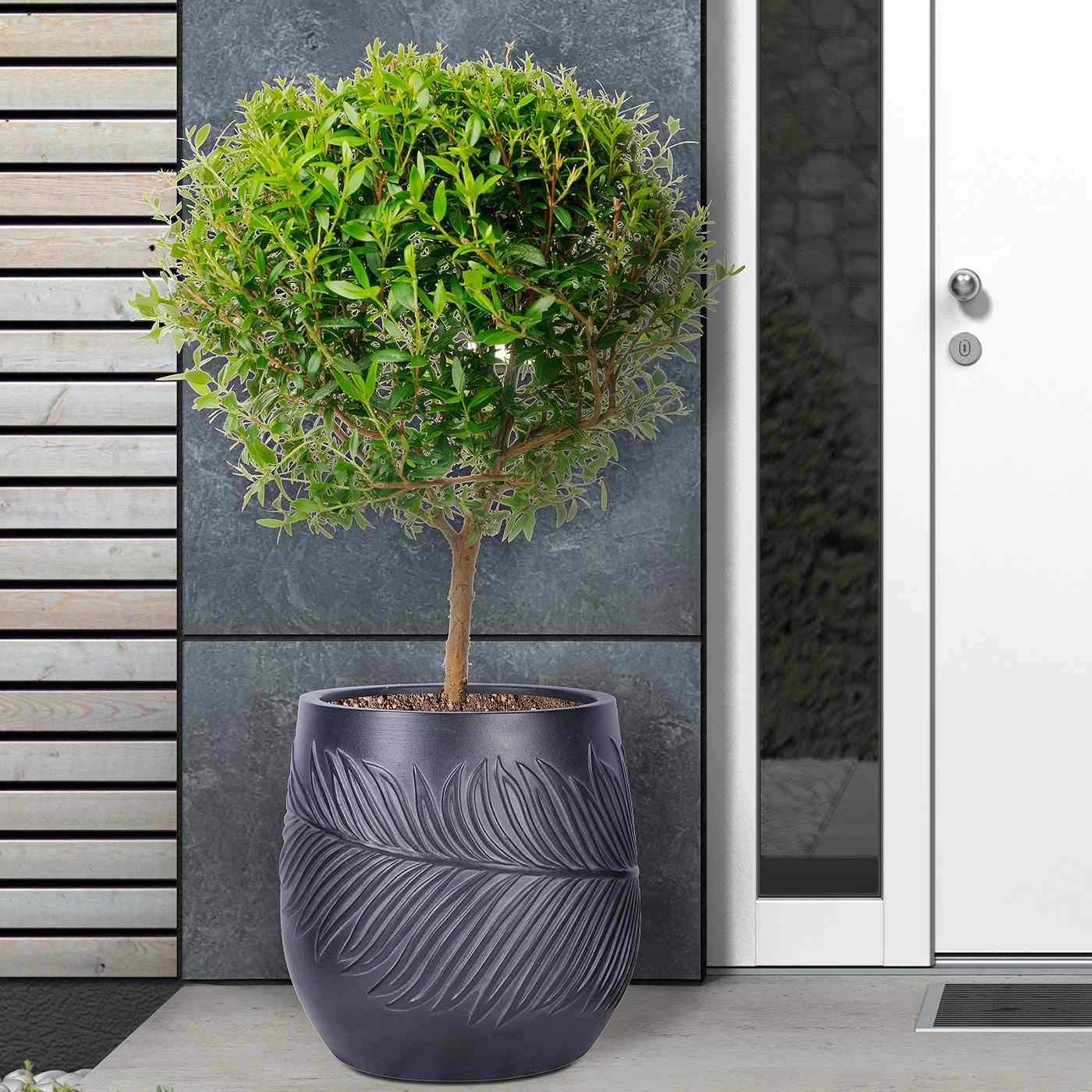 IDEALIST Lite Leaf Embossed Egg Planter