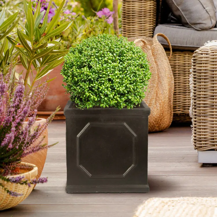 Room decorated with plants in spring