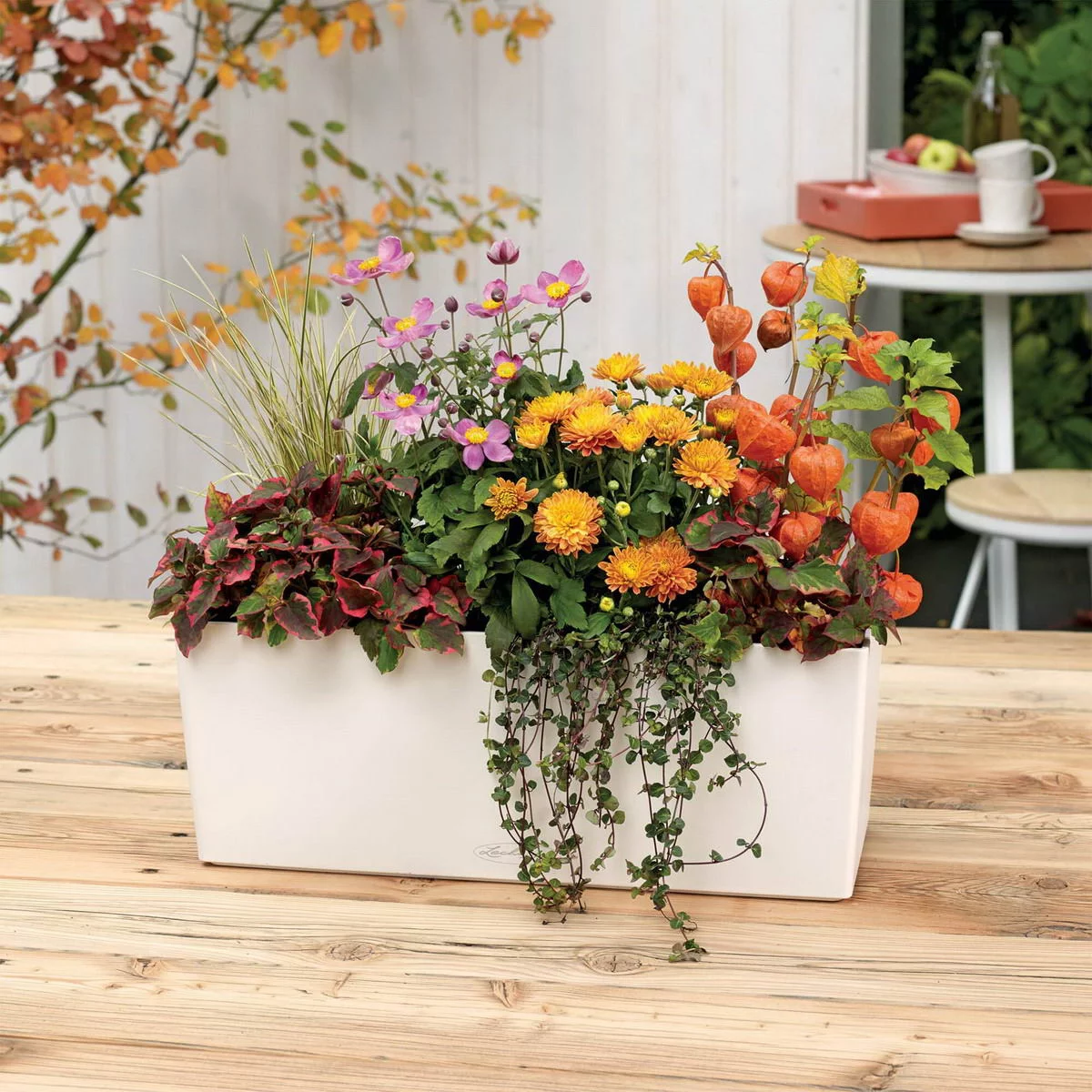 LECHUZA BALCONERA Color Trough Poly Resin Self-watering Planter