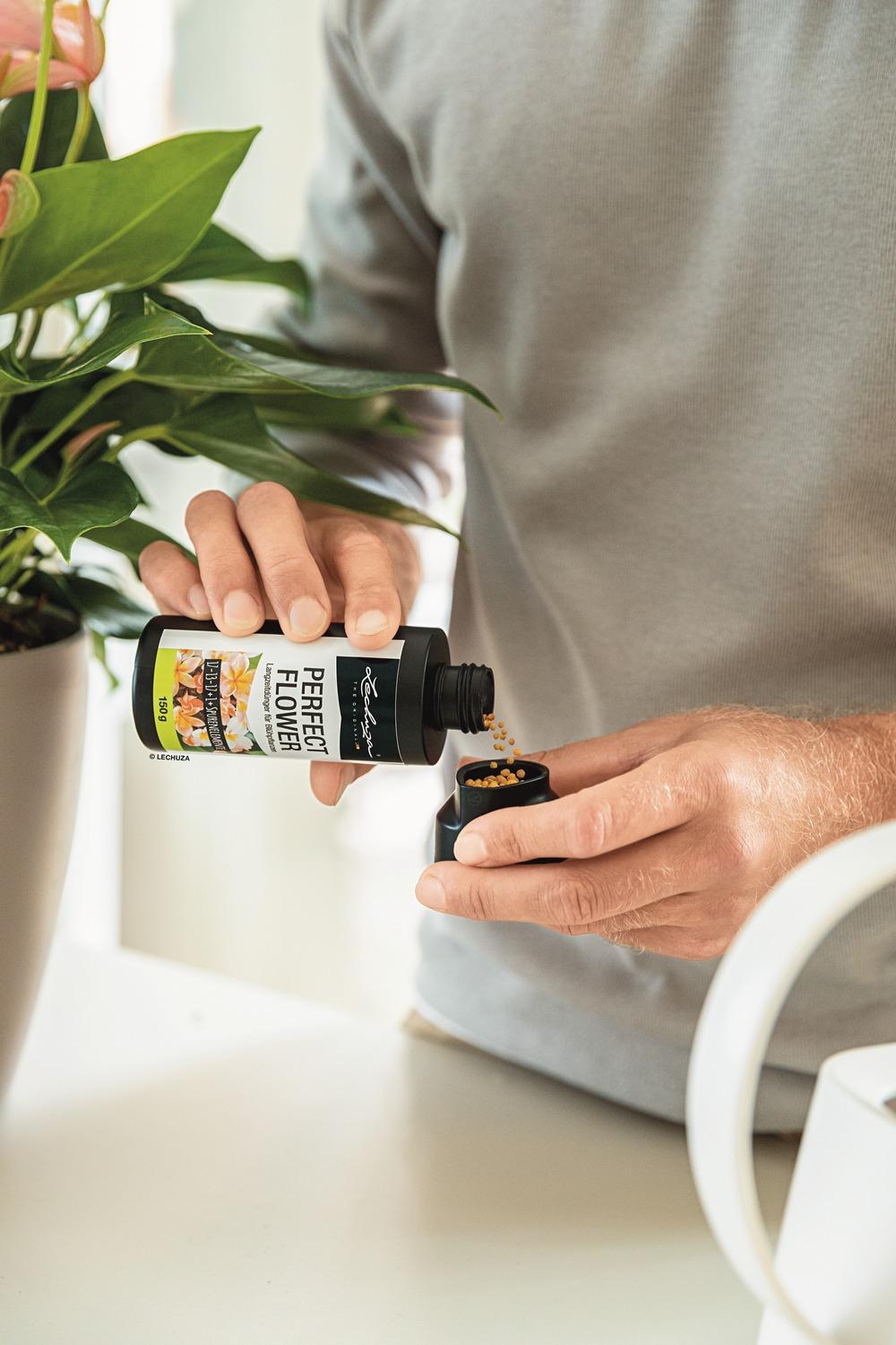 LECHUZA Liquid Orchid Fertiliser Perfect Orchid Fluid