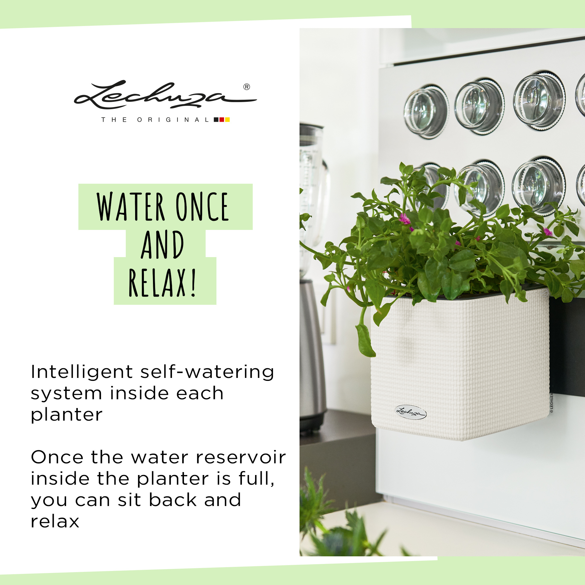 LECHUZA Green Wall Home Kit Color Indoor Self-watering Planter