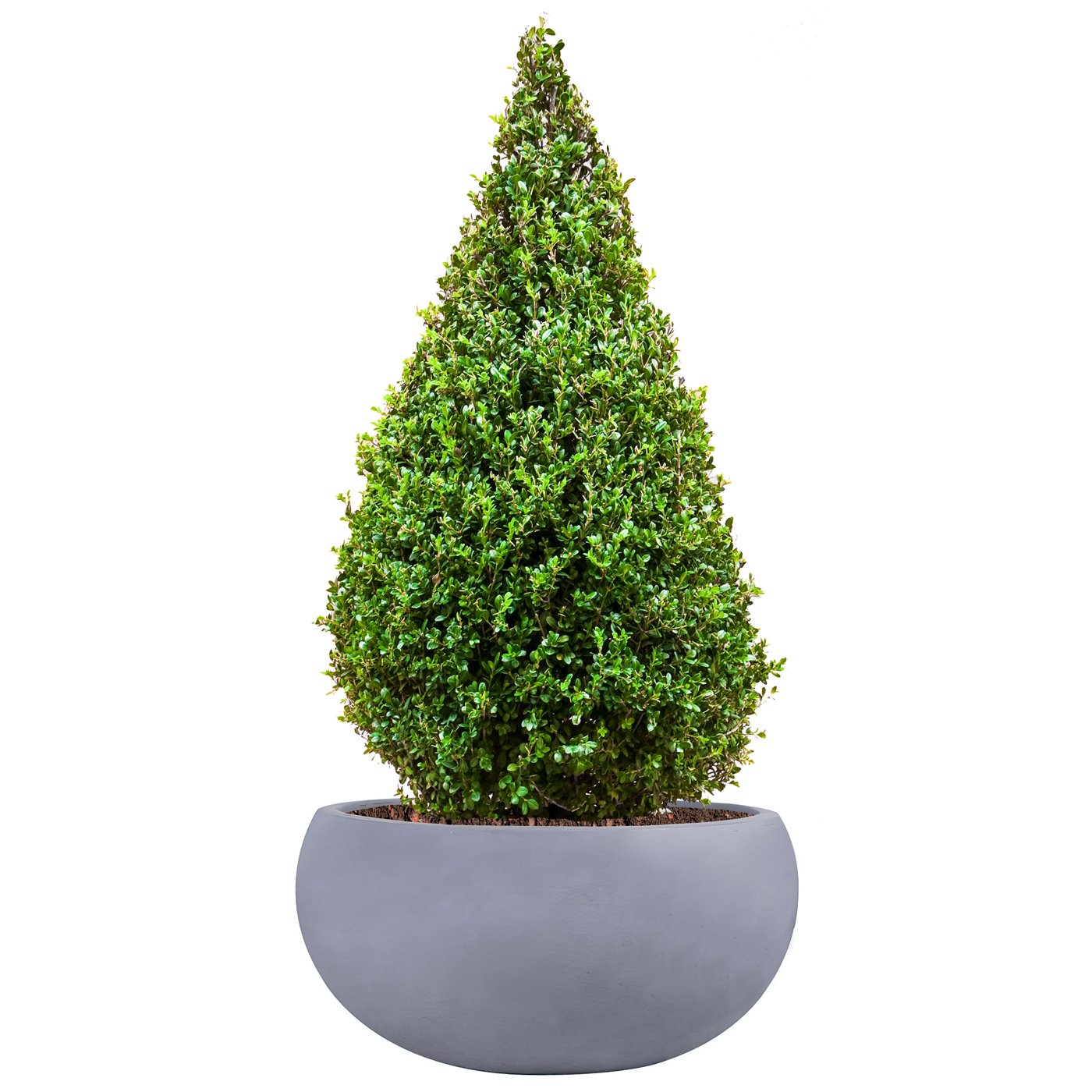 IDEALIST Lite Classic Smooth Bowl Outdoor Planter