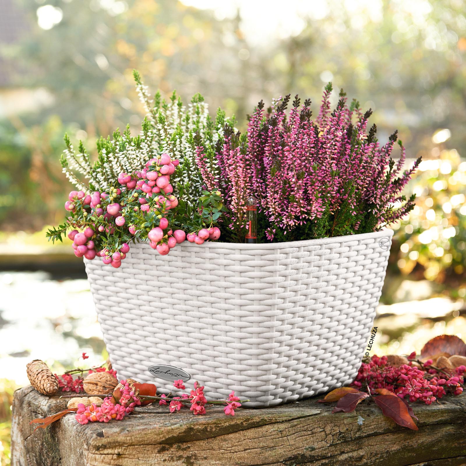 LECHUZA BACINO Cottage Square Poly Resin Self-watering Planter