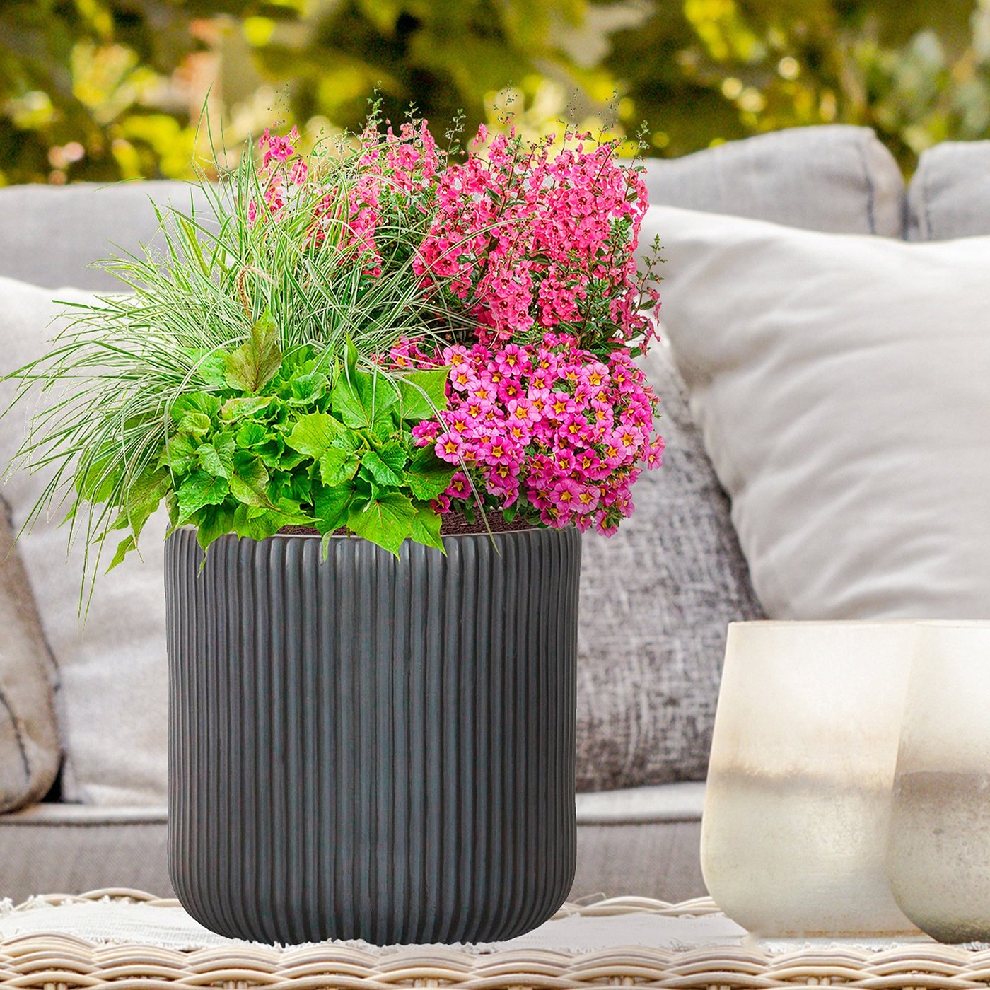 Window Plants Ideas 2018 Window Plants Ideas 2018