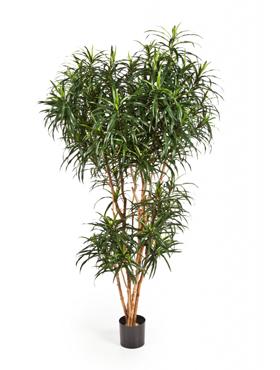 Dracaena Reflexa Jamaica Artificial Tree Plant