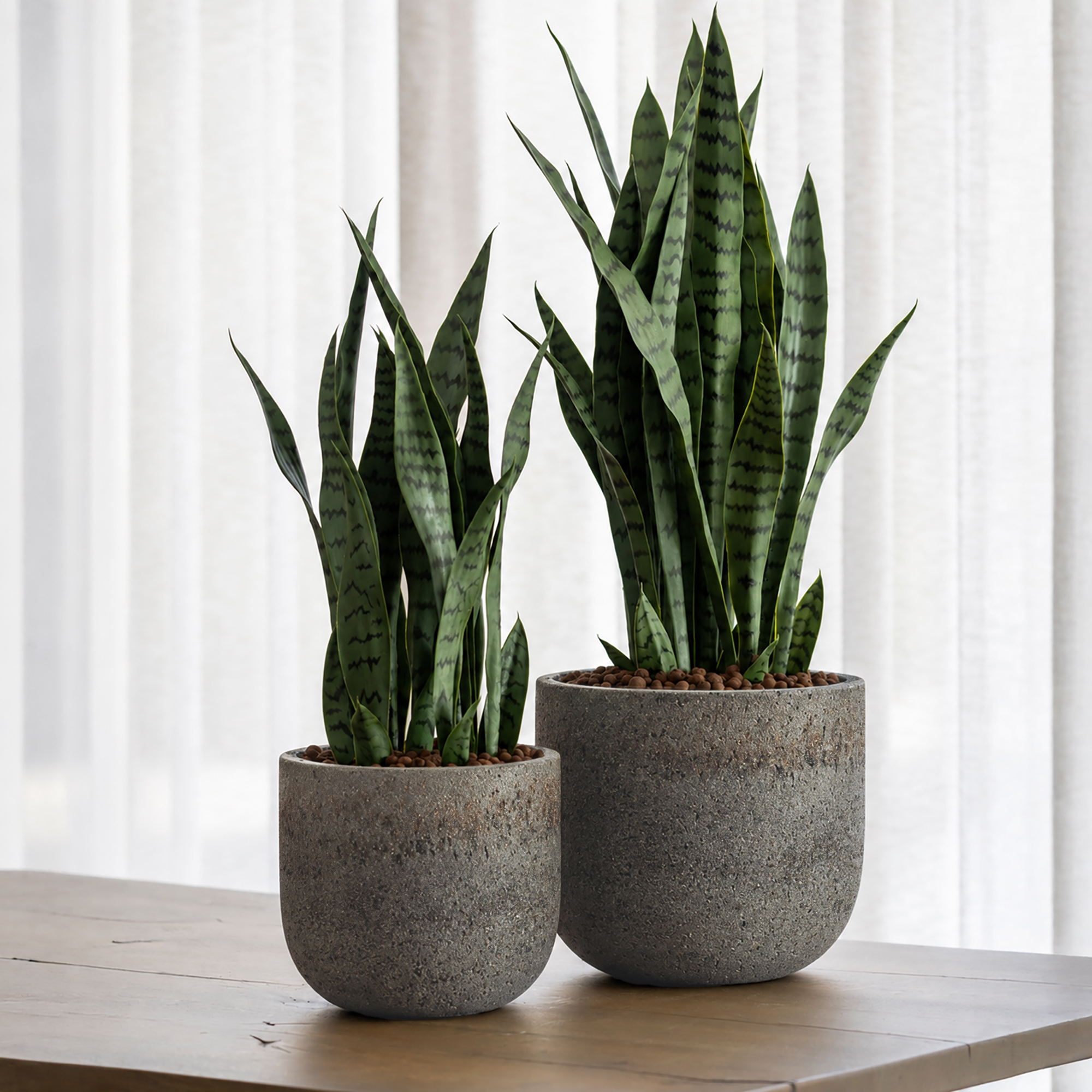 Cement & Stone Round Planter | Indoor and Outdoor Plant Pot