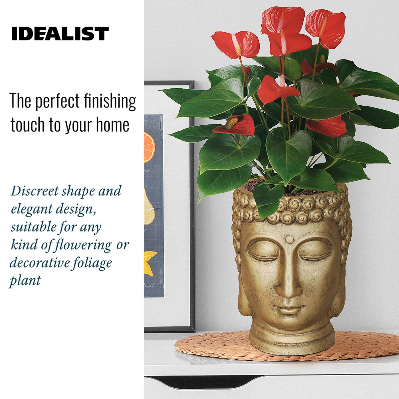 IDEALIST Lite Buddha Face Plant Pot Indoor
