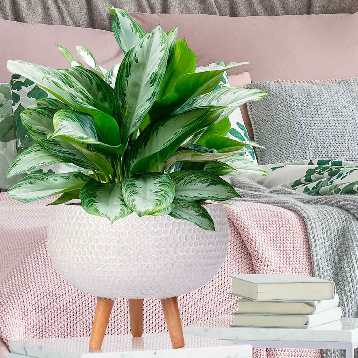 IDEALIST Lite Honeycomb Style Bowl Planter on Legs, Round Pot Plant Stand Indoor