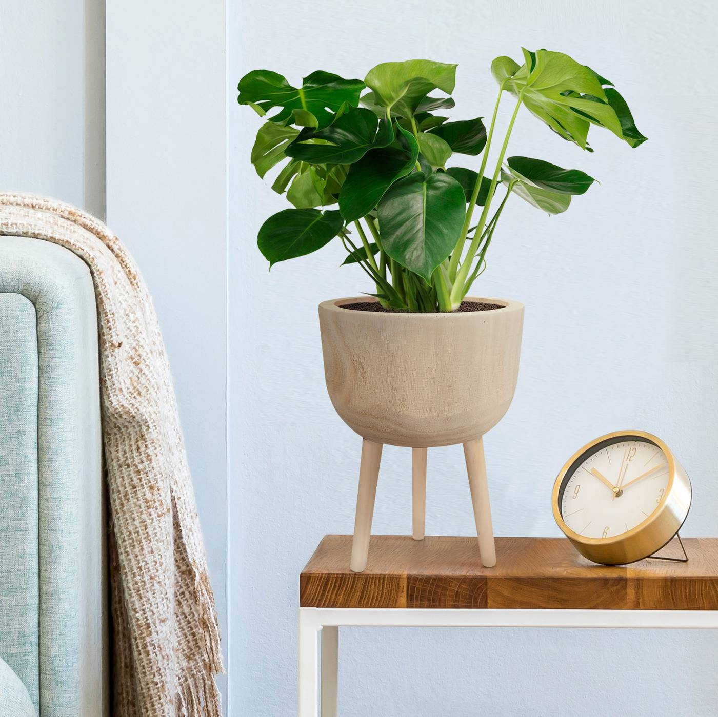 HORTICO GAIA Wooden House Planter with Legs, Tall Indoor Plant Pot Stand with Waterproof Liner
