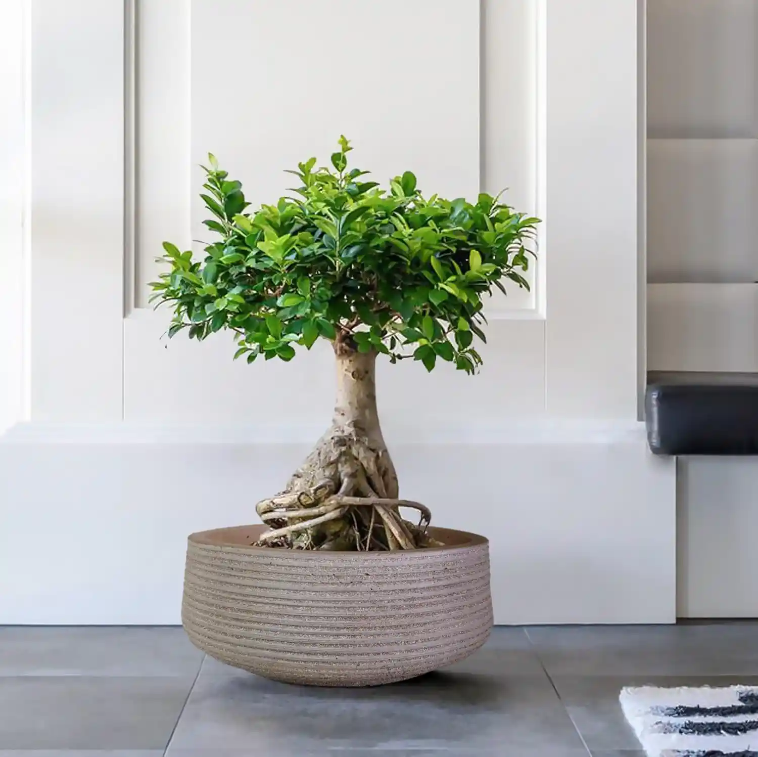 IDEALIST Lite Large Ribbed Light Concrete Bowl Planter