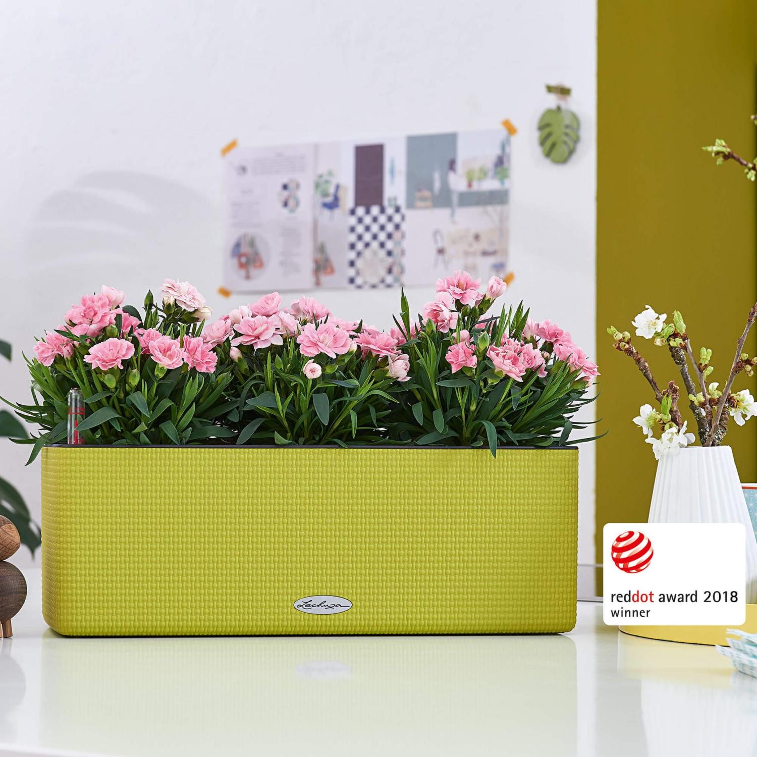 LECHUZA CUBE Color Triple Trough Poly Resin Self-watering Planter