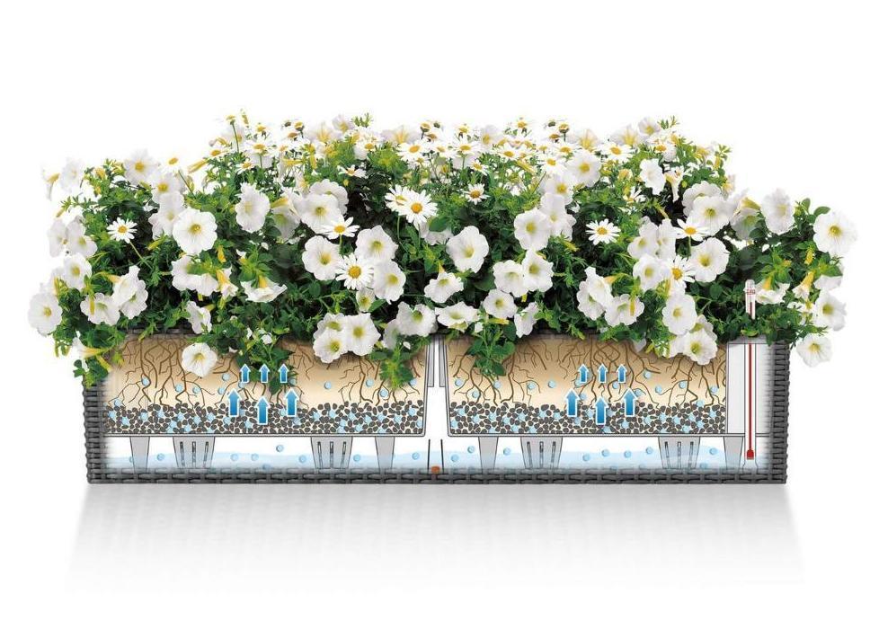 LECHUZA BALCONERA Cottage Trough Poly Resin Self-watering Planter Set