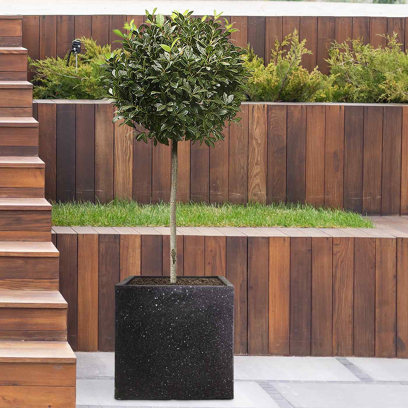 IDEALIST Lite Square Box Contemporary Marble Light Concrete Planter