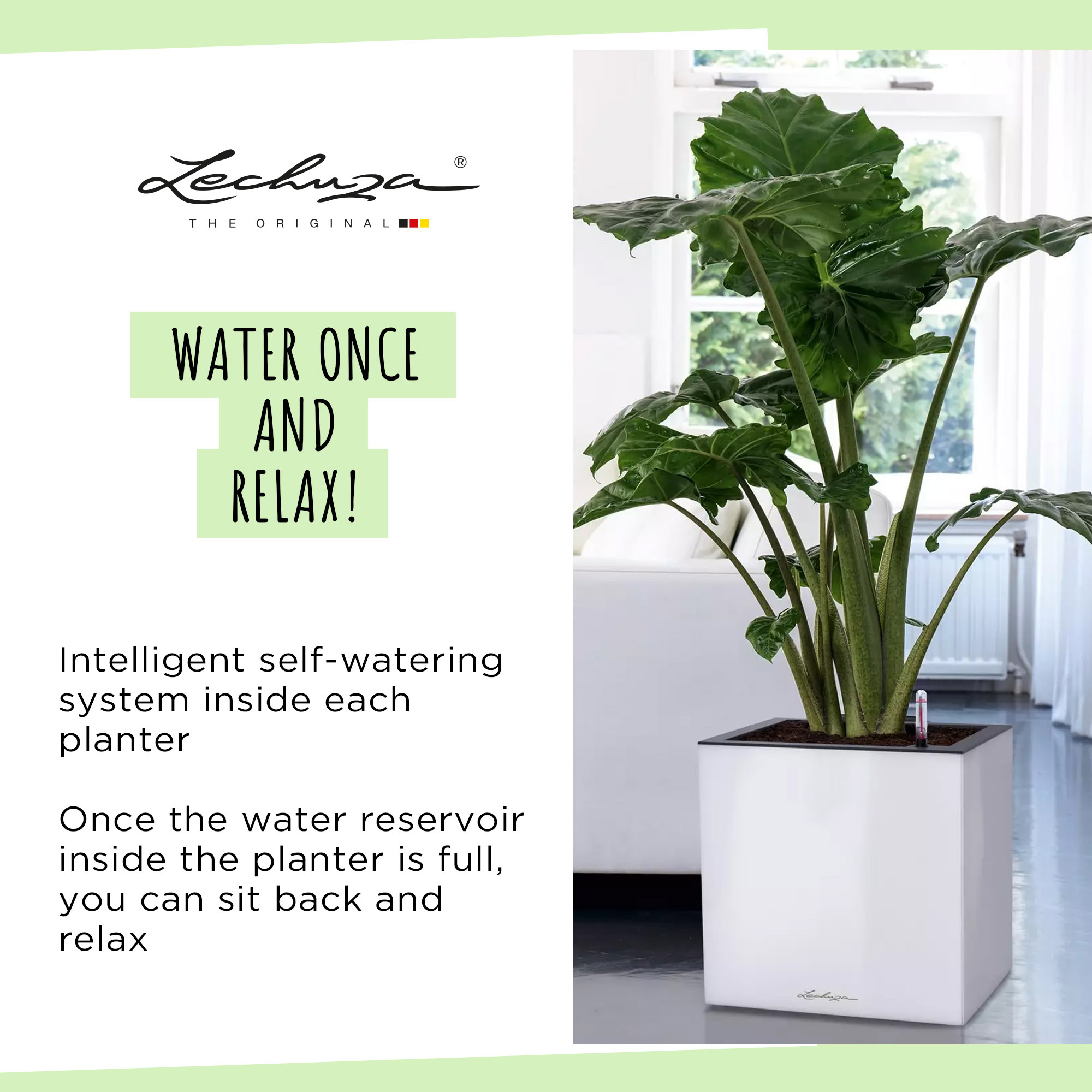 LECHUZA CANTO Low Square Poly Resin Self-watering Planter