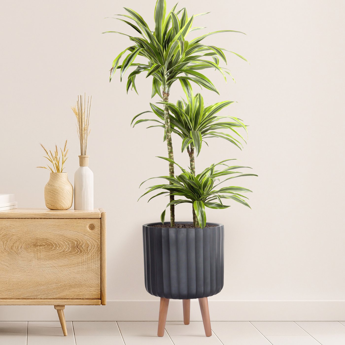 IDEALIST Lite Modern Ribbed Cylinder Planter on Legs, Round Pot Plant Stand Indoor