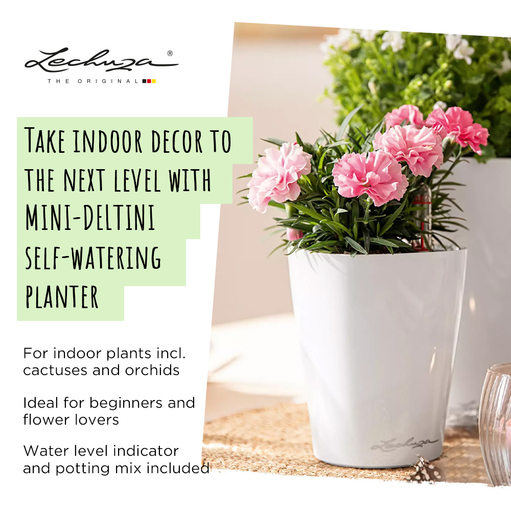 LECHUZA DELTINI|MINI-DELTINI Round Poly Resin Indoor Self-watering Planter