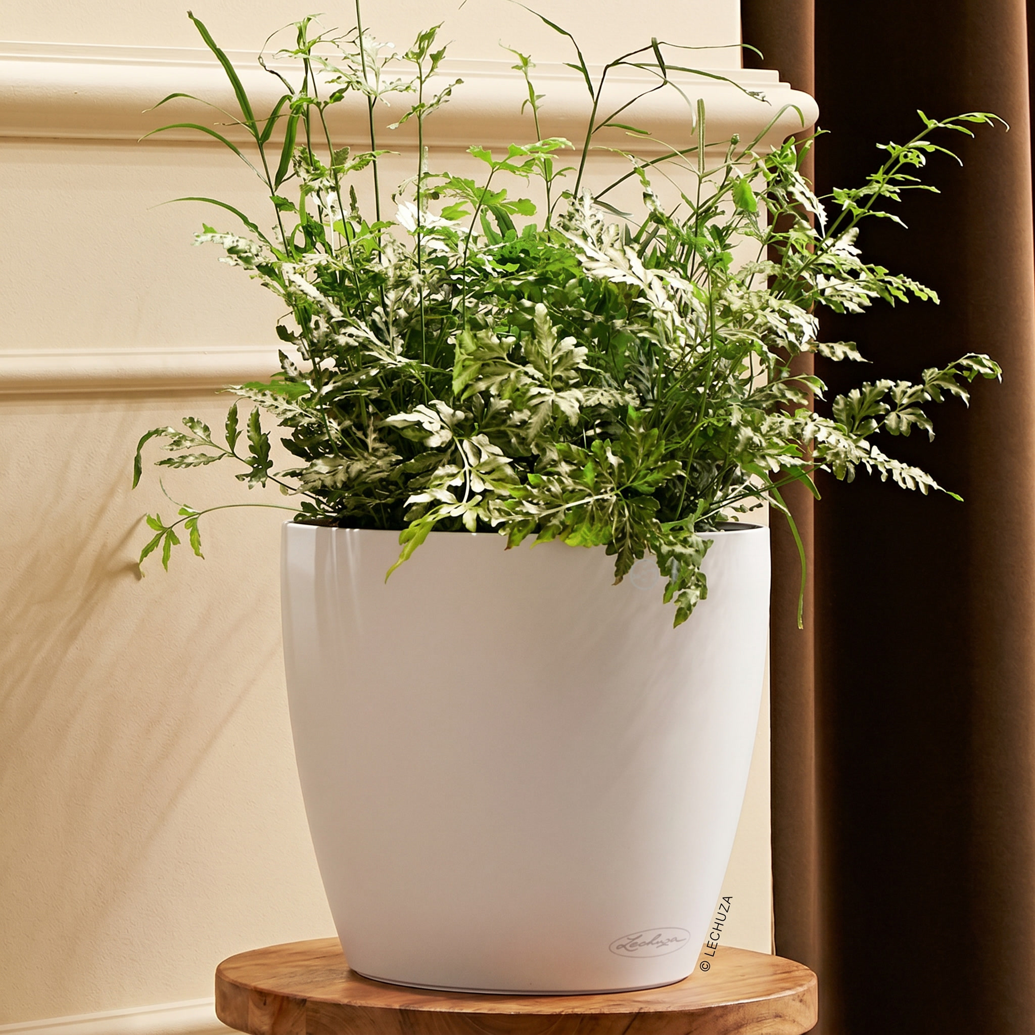 LECHUZA CLASSICO Color Round Poly Resin Self-watering Planter