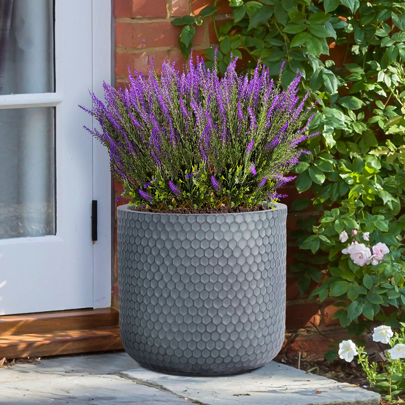 How to choose flower pots and plants for your interior - Interview with a Phyto designer and an Interior designer