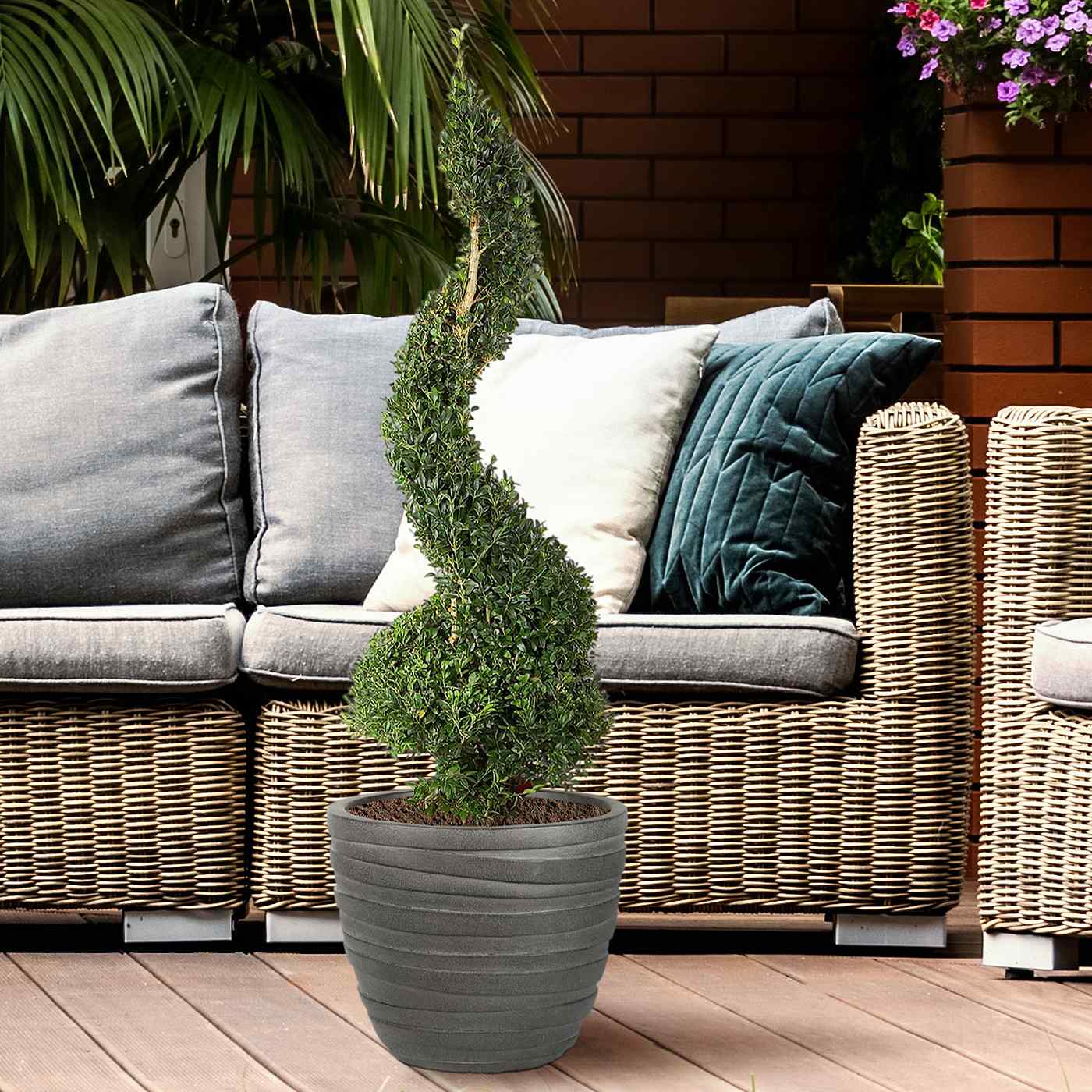IDEALIST Lite Row Light Concrete Egg Planter