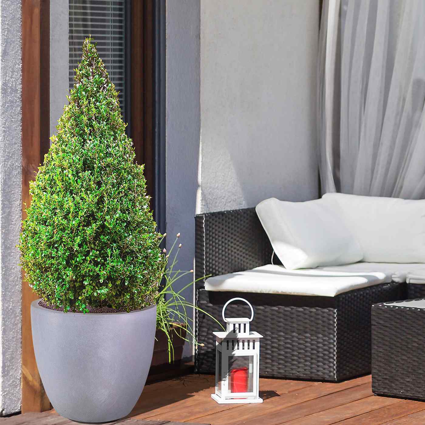IDEALIST Lite Contemporary Light Concrete Egg Planter