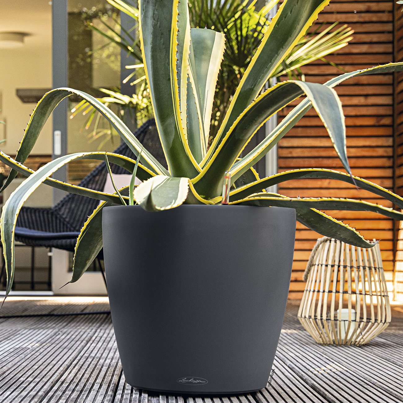 LECHUZA CLASSICO Color Round Poly Resin Self-watering Planter