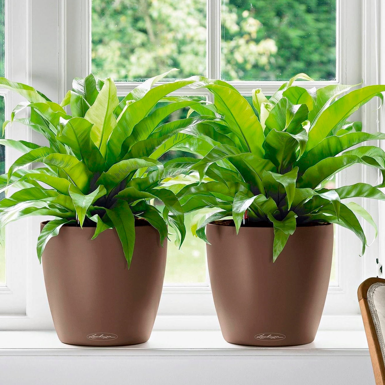 LECHUZA CLASSICO Color Round Poly Resin Self-watering Planter