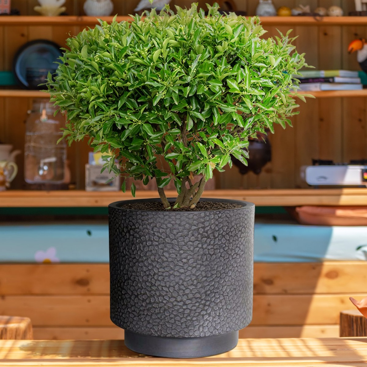 IDEALIST Lite Hammered Stone Cylinder Outdoor Planter