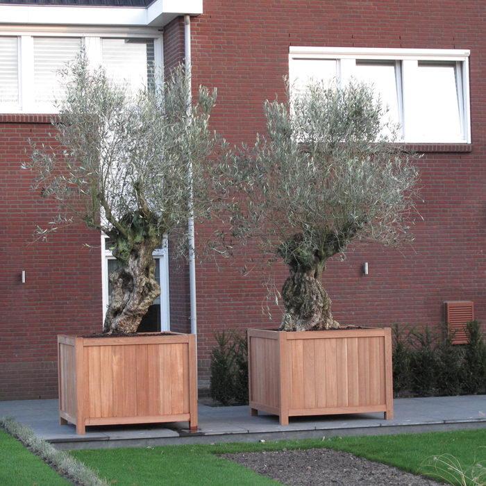 Hardwood Valencia Square Wood Outdoor Planter