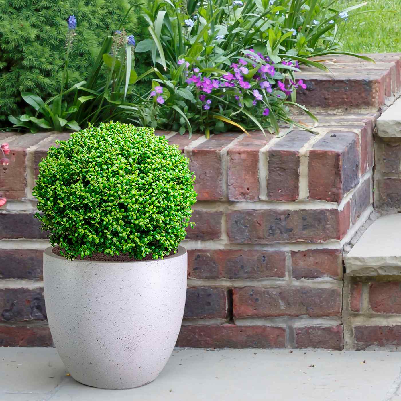 IDEALIST Lite Contemporary Light Concrete Egg Planter