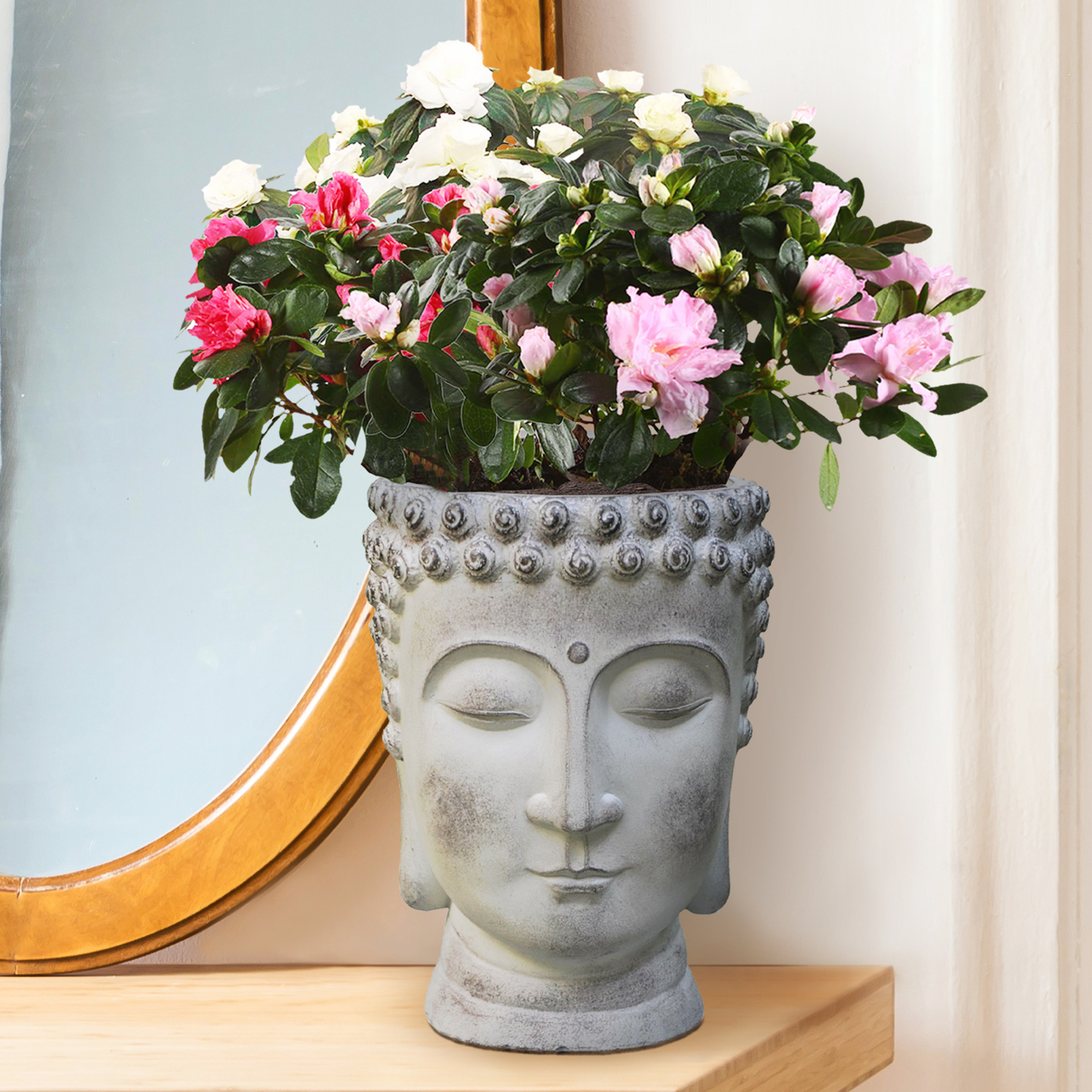 IDEALIST Lite Buddha Face Plant Pot Indoor