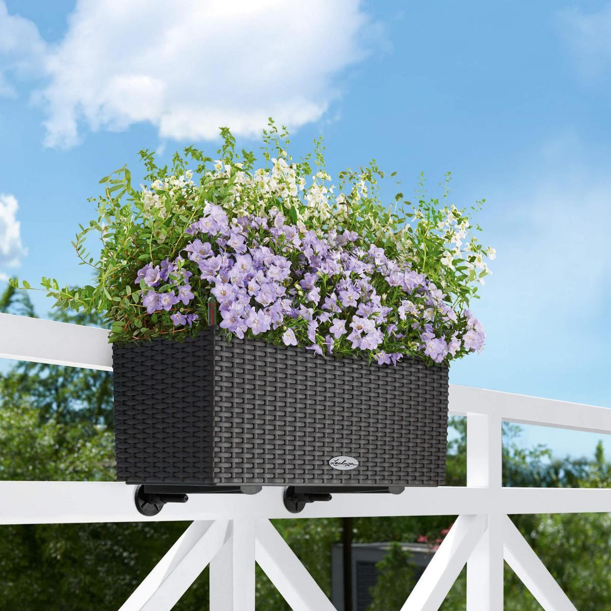 LECHUZA BALCONERA Cottage Trough Poly Resin Self-watering Planter Set