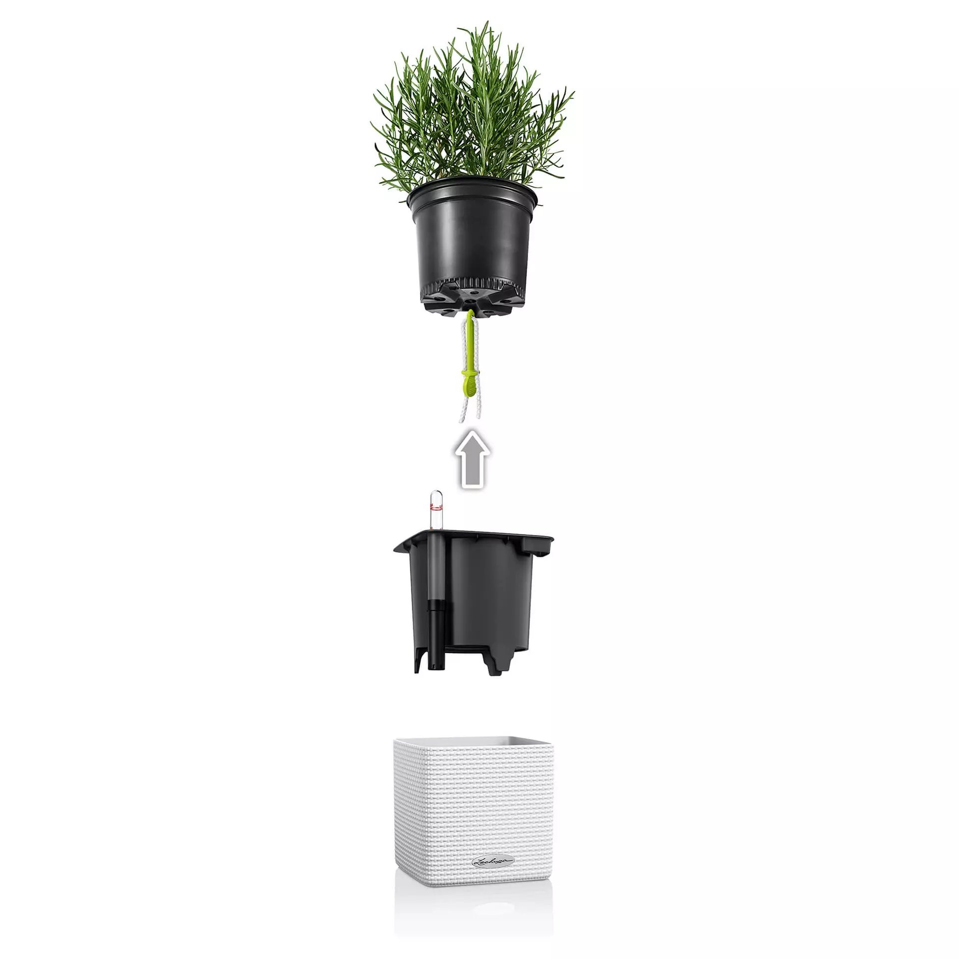 LECHUZA 6er Set Watering Stick