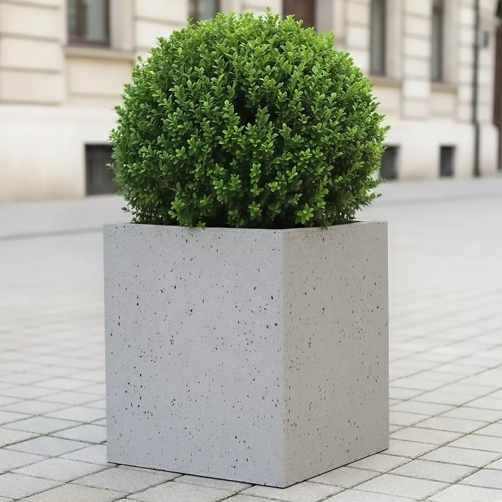 IDEALIST Lite Square Box Contemporary Marble Light Concrete Planter