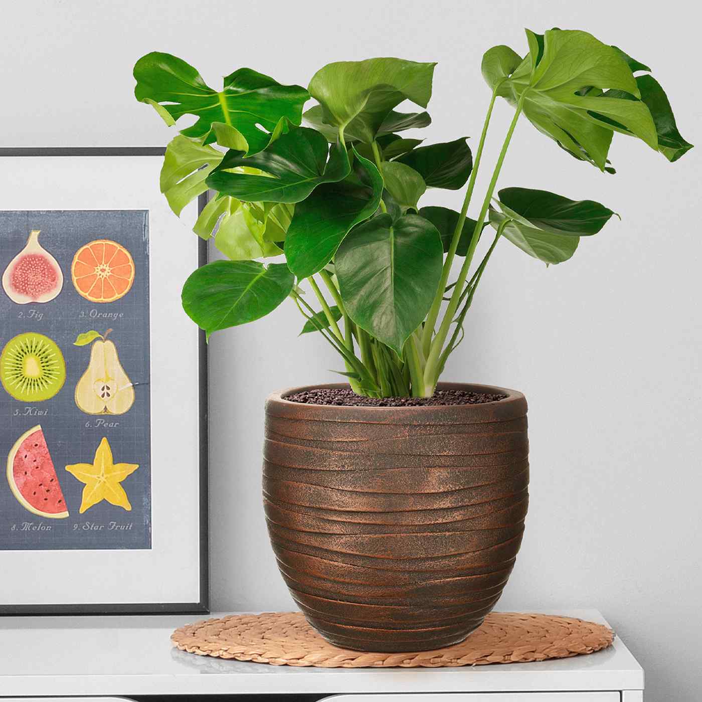 IDEALIST Lite Row Style Round Indoor Planter
