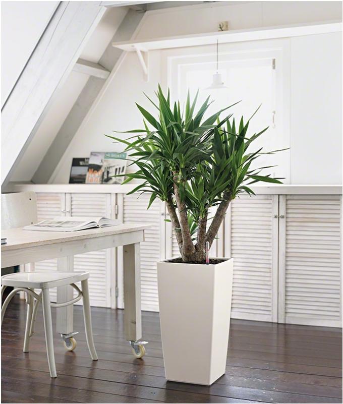 LECHUZA CUBICO Square Tall Poly Resin Self-watering Planter