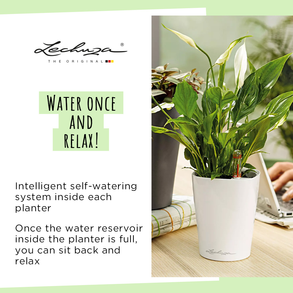 LECHUZA DELTINI|MINI-DELTINI Round Poly Resin Indoor Self-watering Planter