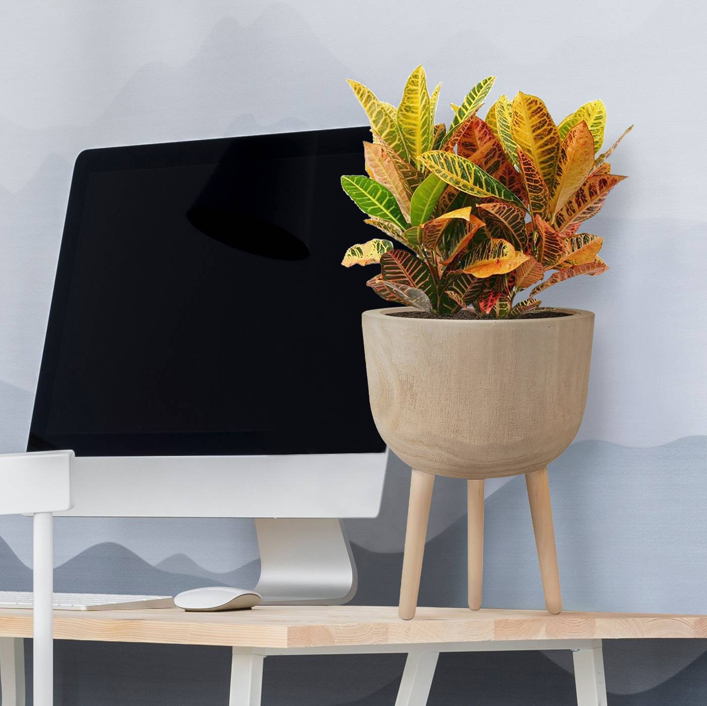 HORTICO GAIA Wooden House Planter with Legs, Tall Indoor Plant Pot Stand with Waterproof Liner