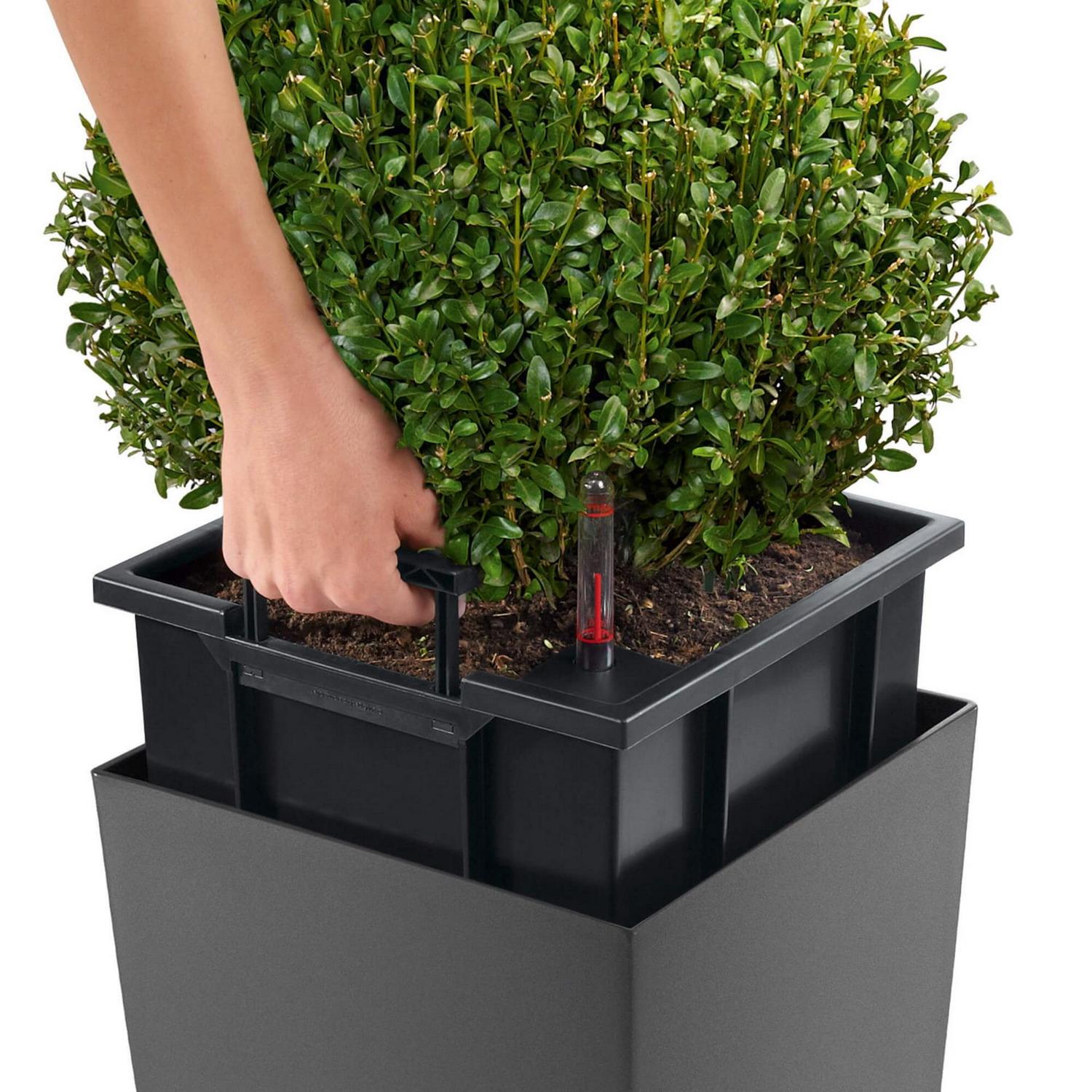 LECHUZA CUBICO Square Tall Poly Resin Self-watering Planter