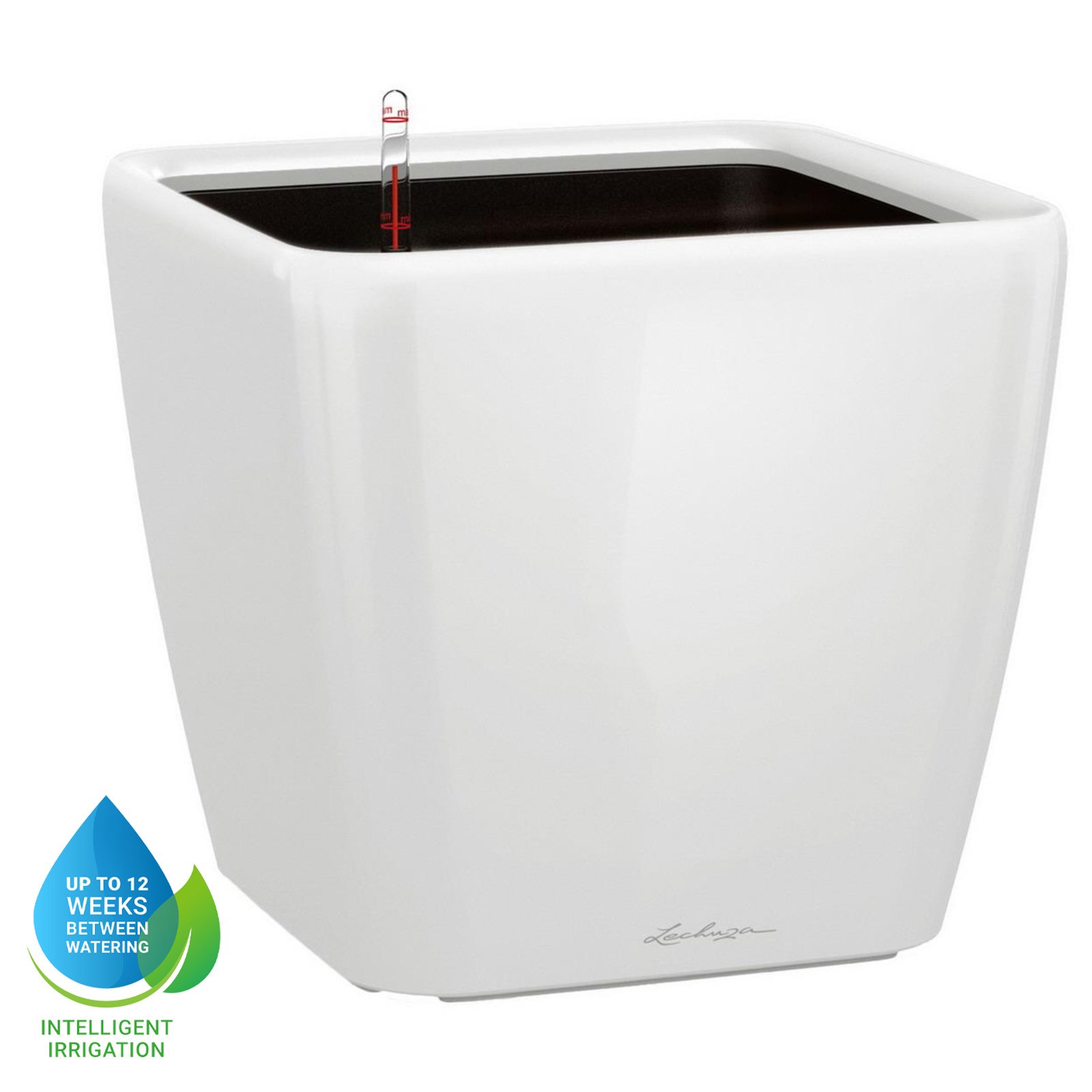 LECHUZA Quadro LS Square Poly Resin Self-watering Planter