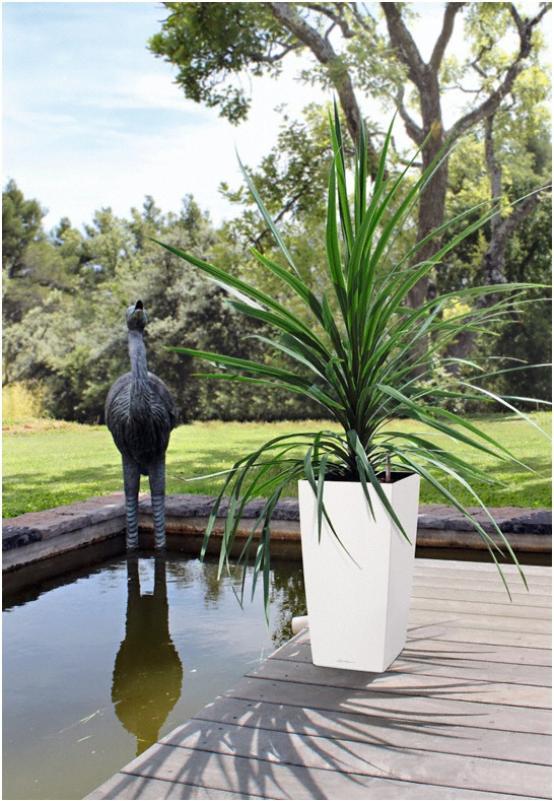LECHUZA CUBICO Square Tall Poly Resin Self-watering Planter