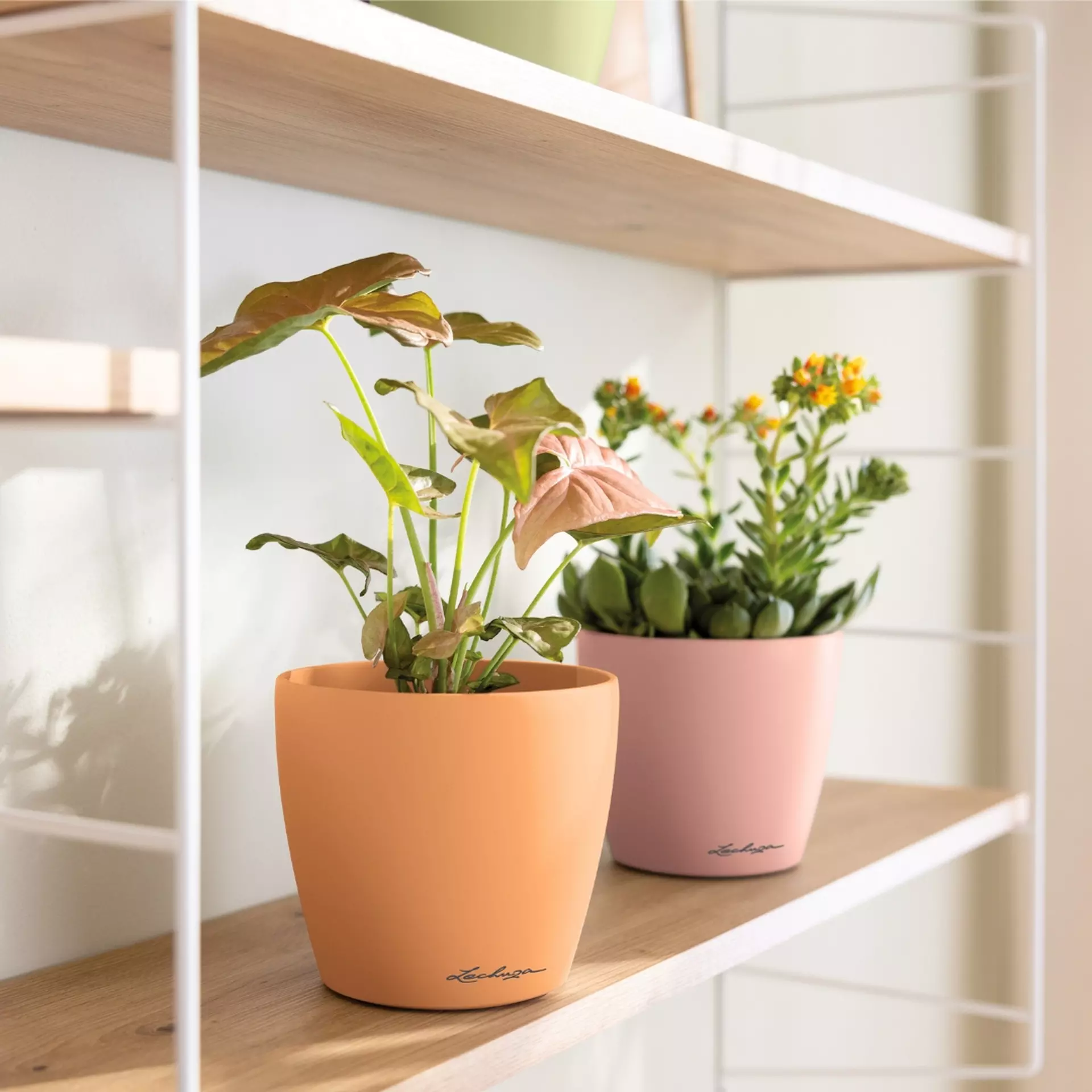 LECHUZA CLASSICO Color DECO Round Poly Resin Indoor Planter