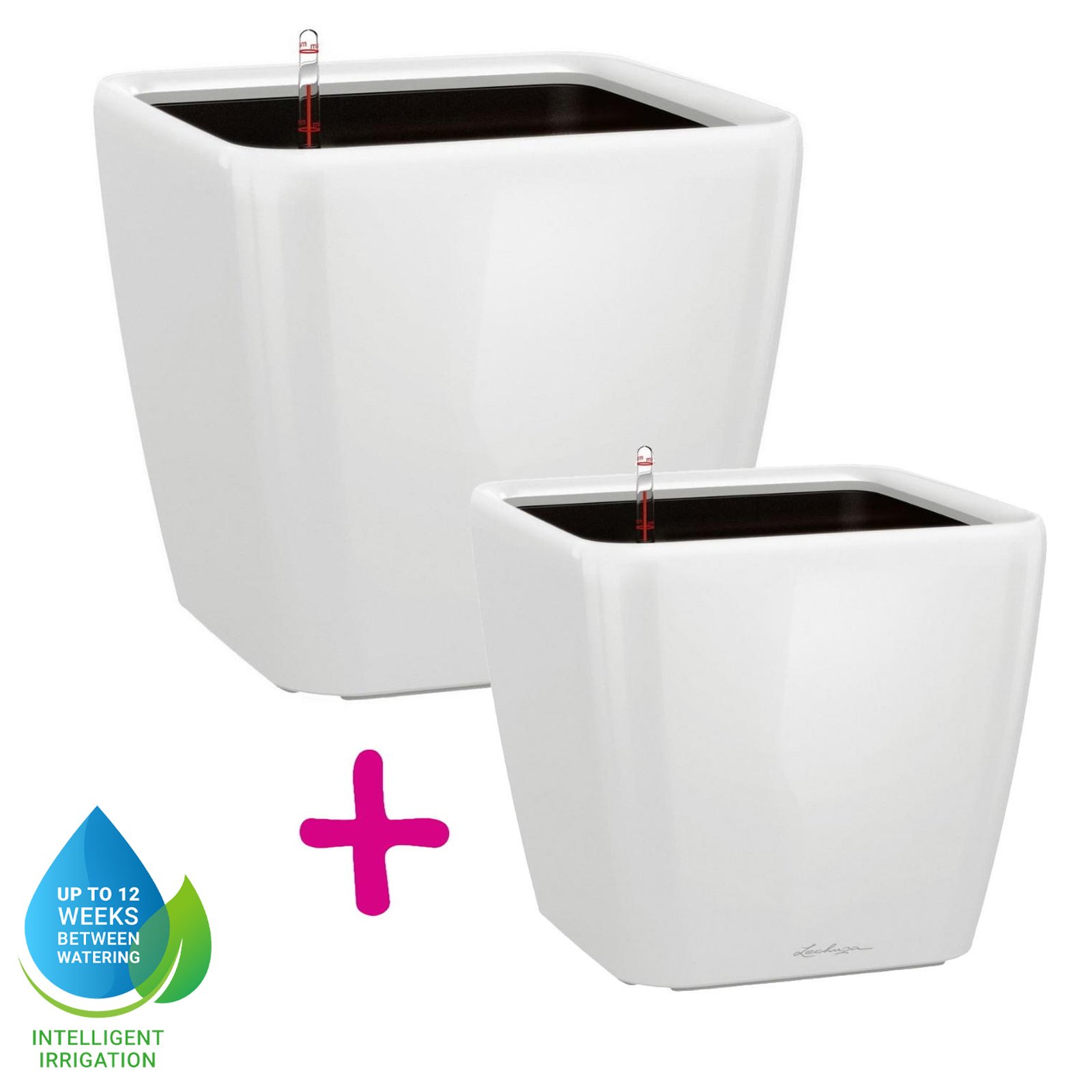LECHUZA Quadro LS Square Poly Resin Self-watering Planter Set